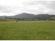 1060 Leggetts Drive, Mulbring NSW 2323