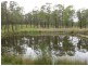 284 Elderslie Road, Branxton NSW 2335