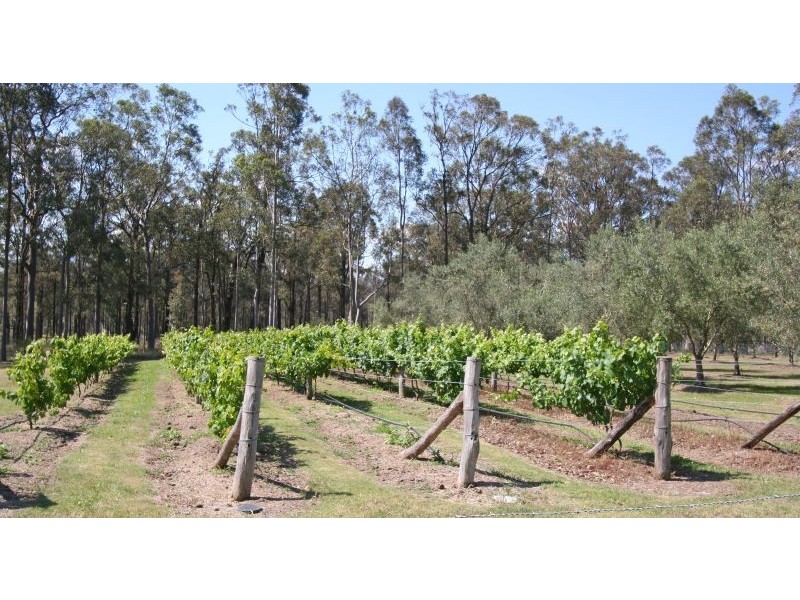 284 Elderslie Road, Branxton NSW 2335