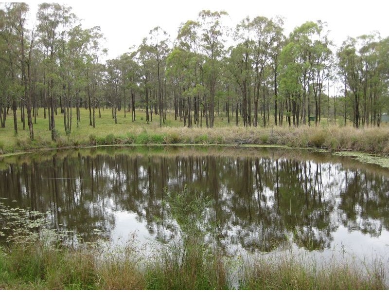 284 Elderslie Road, Branxton NSW 2335