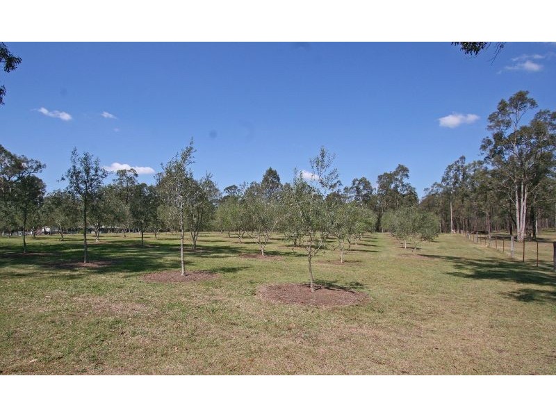 284 Elderslie Road, Branxton NSW 2335
