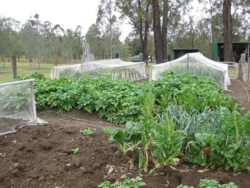 284 Elderslie Road, Branxton NSW 2335