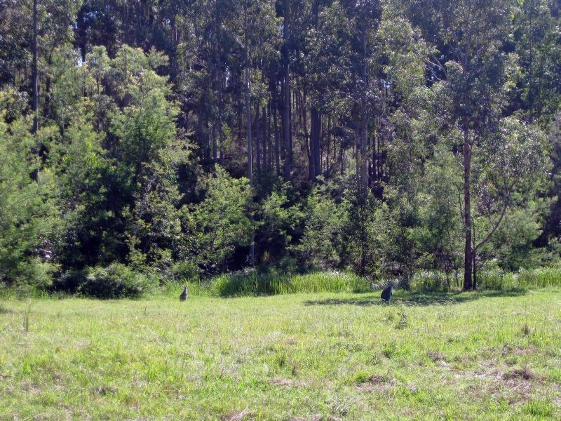 Lot 26 Broke Road, Pokolbin NSW 2320