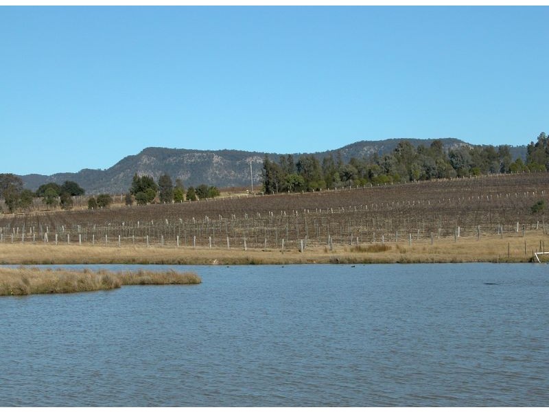 Lot 109 Palmers Lane, Pokolbin NSW 2320