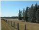 Lot 109 Palmers Lane, Pokolbin NSW 2320