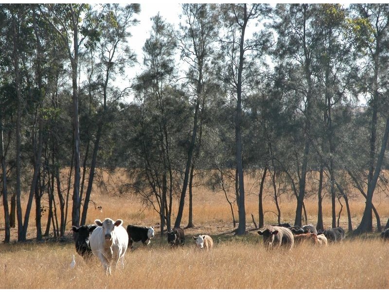 Lot 109 Palmers Lane, Pokolbin NSW 2320