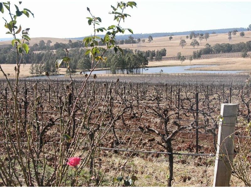 Lot 109 Palmers Lane, Pokolbin NSW 2320