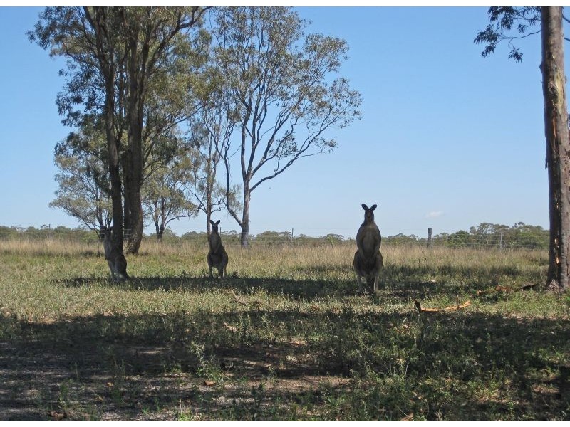Lots 421-426 Mistletoe Lane, Pokolbin NSW 2320