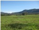 192 Gills Road, Brunkerville NSW 2323