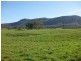 192 Gills Road, Brunkerville NSW 2323