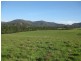 192 Gills Road, Brunkerville NSW 2323
