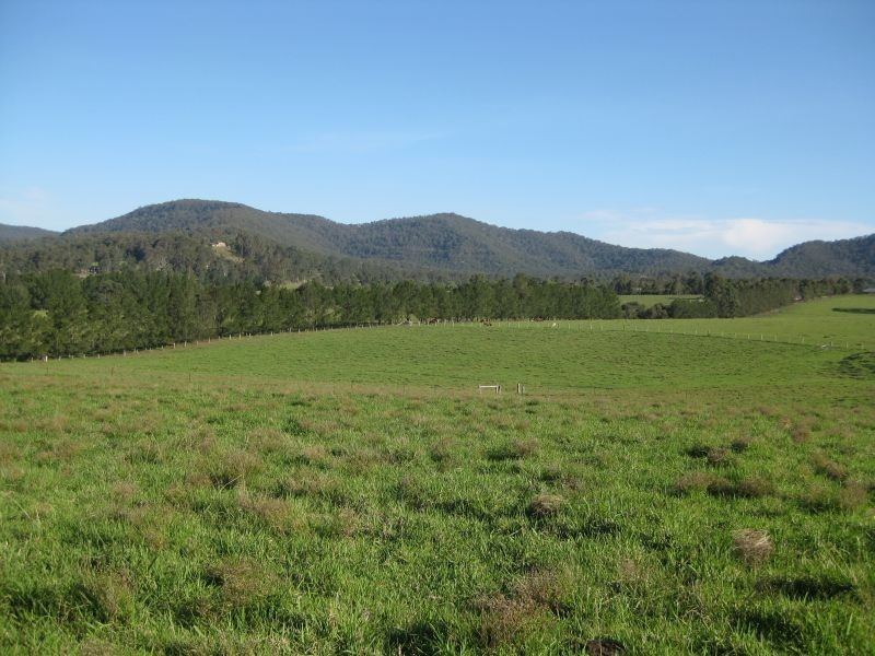 192 Gills Road, Brunkerville NSW 2323