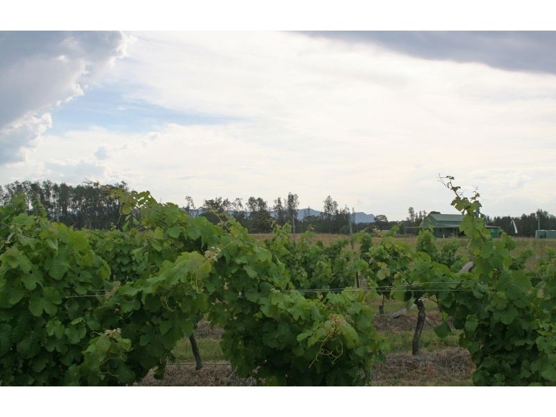 386 Wilderness Road, Lovedale NSW 2325