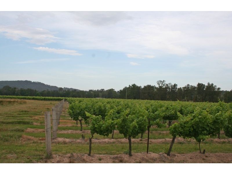 386 Wilderness Road, Lovedale NSW 2325