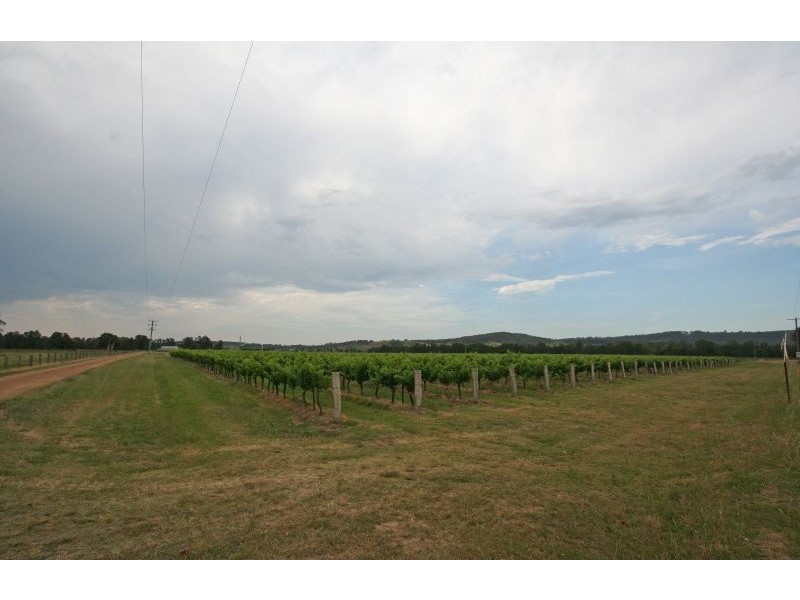 386 Wilderness Road, Lovedale NSW 2325