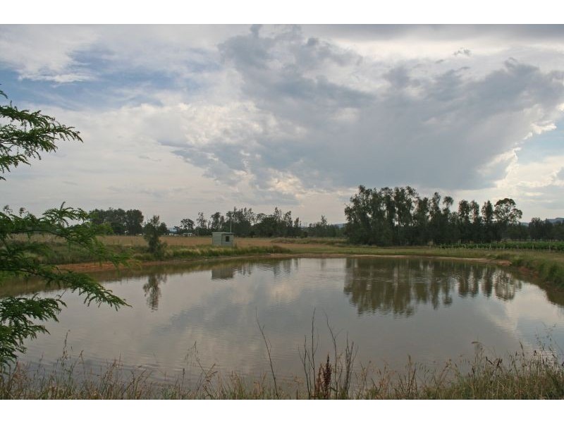 386 Wilderness Road, Lovedale NSW 2325