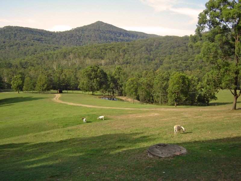144 Leiberts Lane, Brunkerville NSW 2323