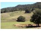 151 Bimbadeen Road, Mount View NSW 2325