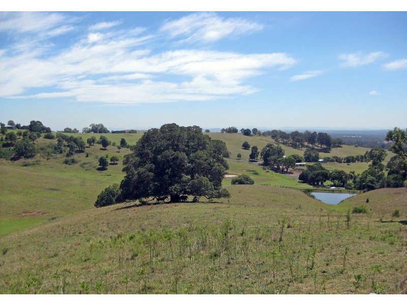 151 Bimbadeen Road, Mount View NSW 2325