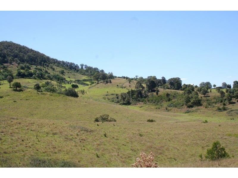 151 Bimbadeen Road, Mount View NSW 2325