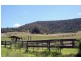 151 Bimbadeen Road, Mount View NSW 2325