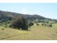 151 Bimbadeen Road, Mount View NSW 2325