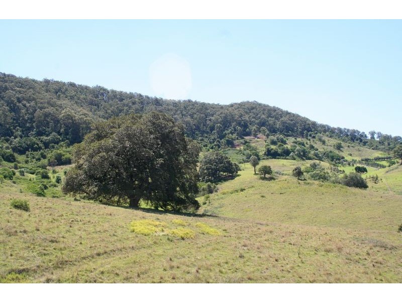 151 Bimbadeen Road, Mount View NSW 2325