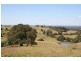 151 Bimbadeen Road, Mount View NSW 2325