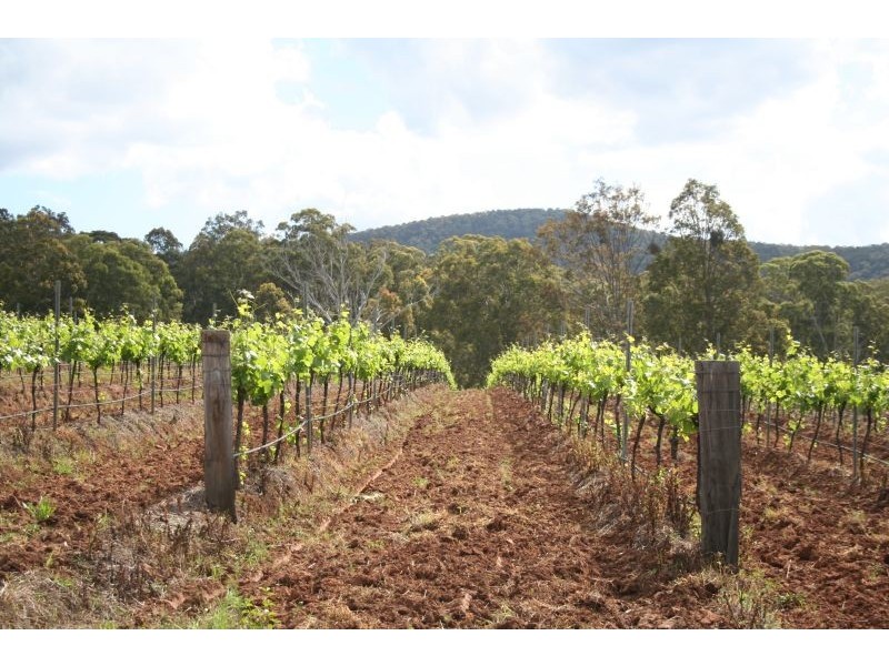 195 Marrowbone Road, Pokolbin NSW 2320