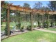 Pokolbin NSW 2320