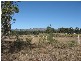Pokolbin NSW 2320