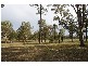 Pokolbin NSW 2320