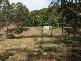 Millfield NSW 2325
