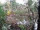 Millfield NSW 2325