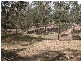 Millfield NSW 2325