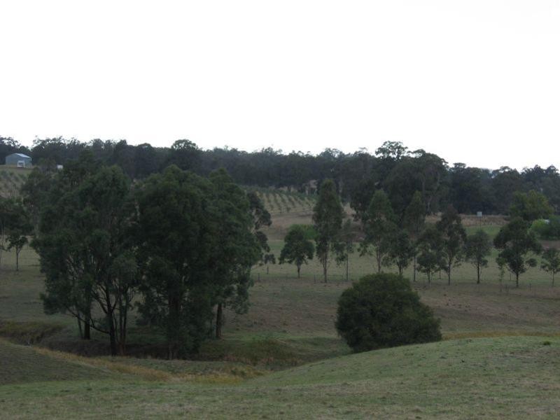 Millfield NSW 2325
