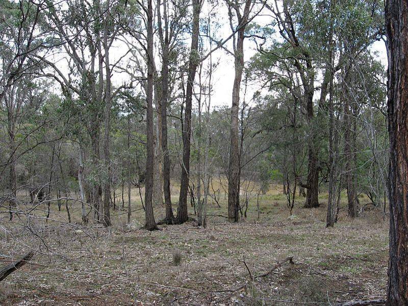 North Rothbury NSW 2335