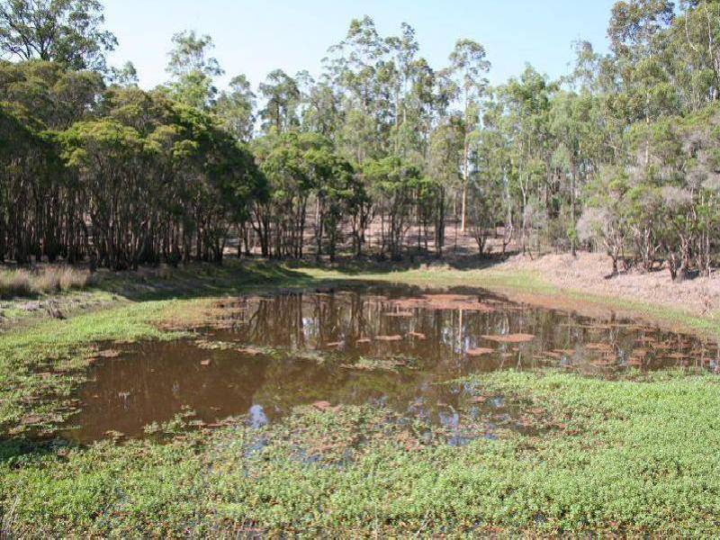 North Rothbury NSW 2335