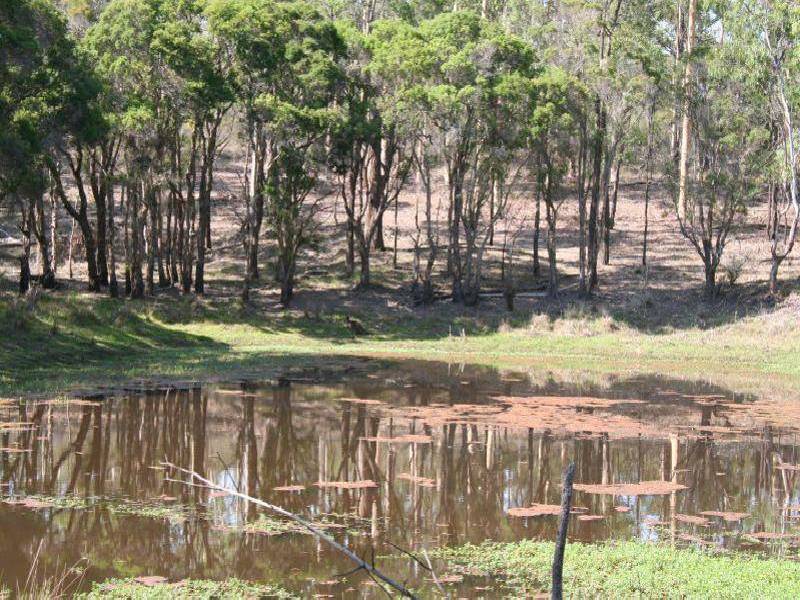 North Rothbury NSW 2335