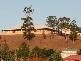 Aberglasslyn NSW 2320