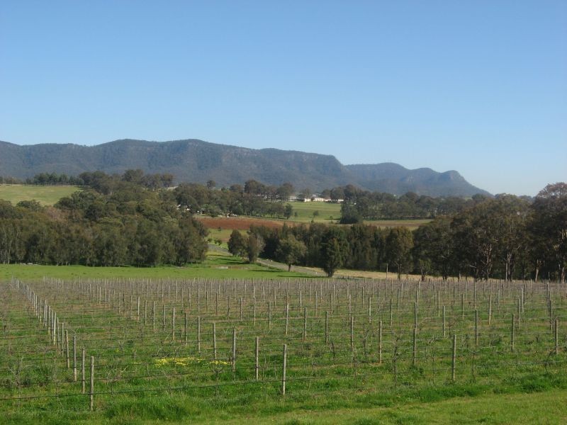 Lot 12  Oakey Creek Road, Pokolbin NSW 2320