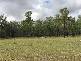 Rothbury NSW 2320
