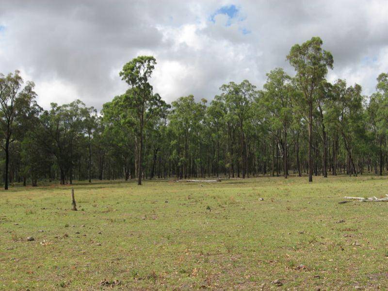 Rothbury NSW 2320