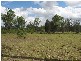 Rothbury NSW 2320