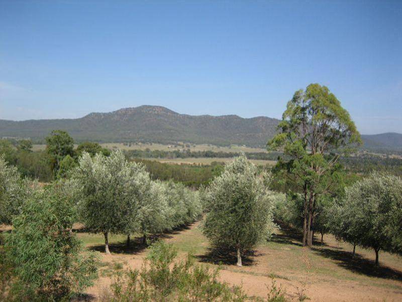 187 Wollombi Road, Broke NSW 2330