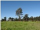 Sawyers Gully NSW 2326