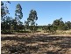 Sawyers Gully NSW 2326