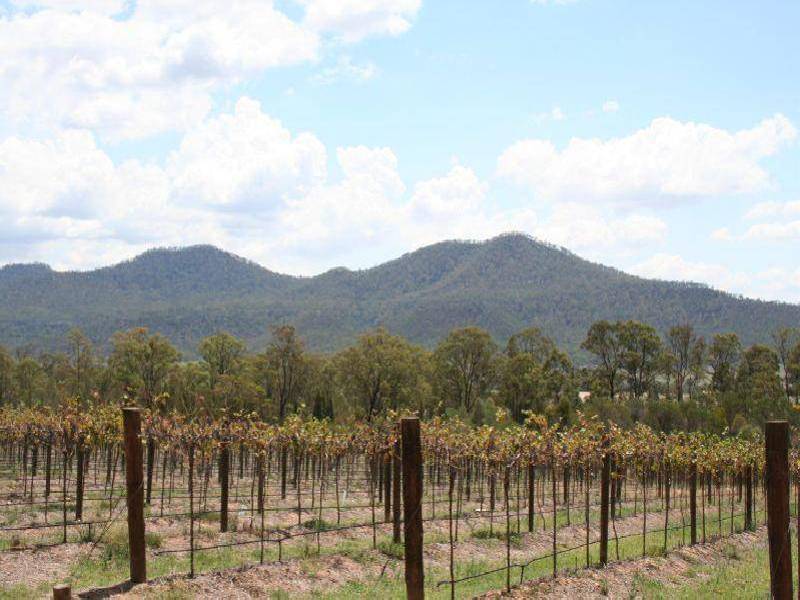 70  Milbrodale Road, Broke NSW 2330