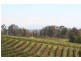 Pokolbin NSW 2320