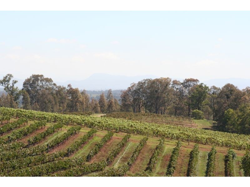 Pokolbin NSW 2320
